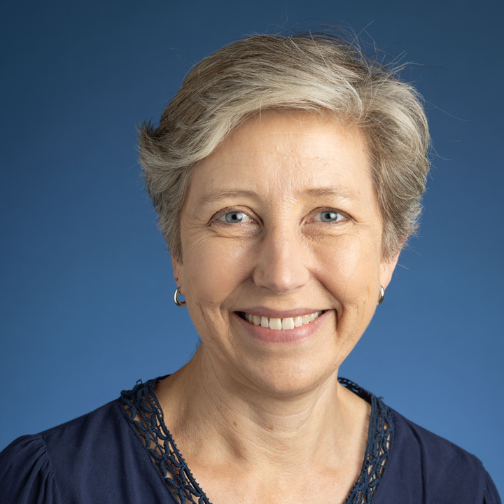 Headshot of Kirstin Noreen wearing a blue shirt.
