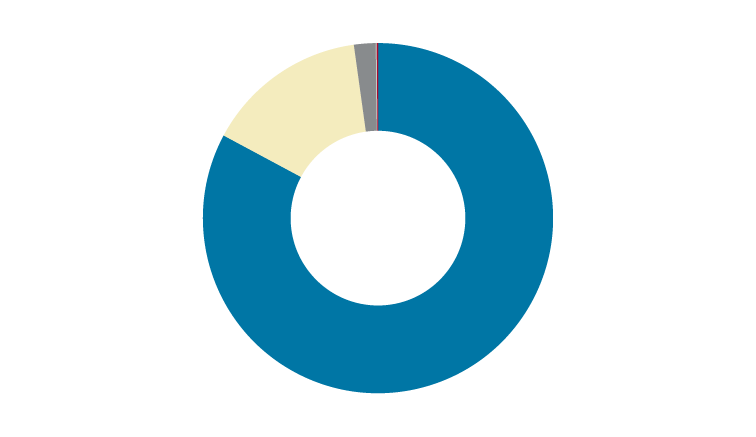 Chart showing where the 2024 grads went.