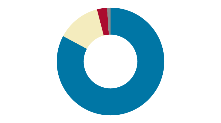 Chart showing what the Class of 2025 is doing.